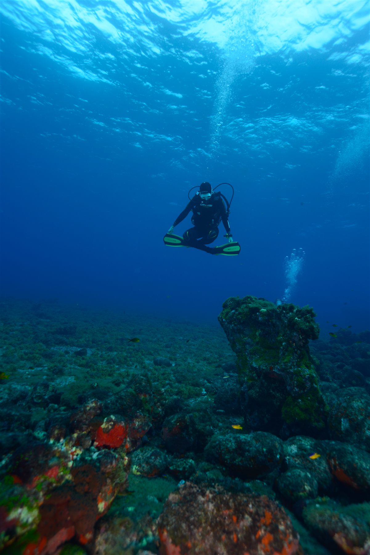 Tracey hovering cross-legged and weightless in deep blue water, a coral tower rising below her