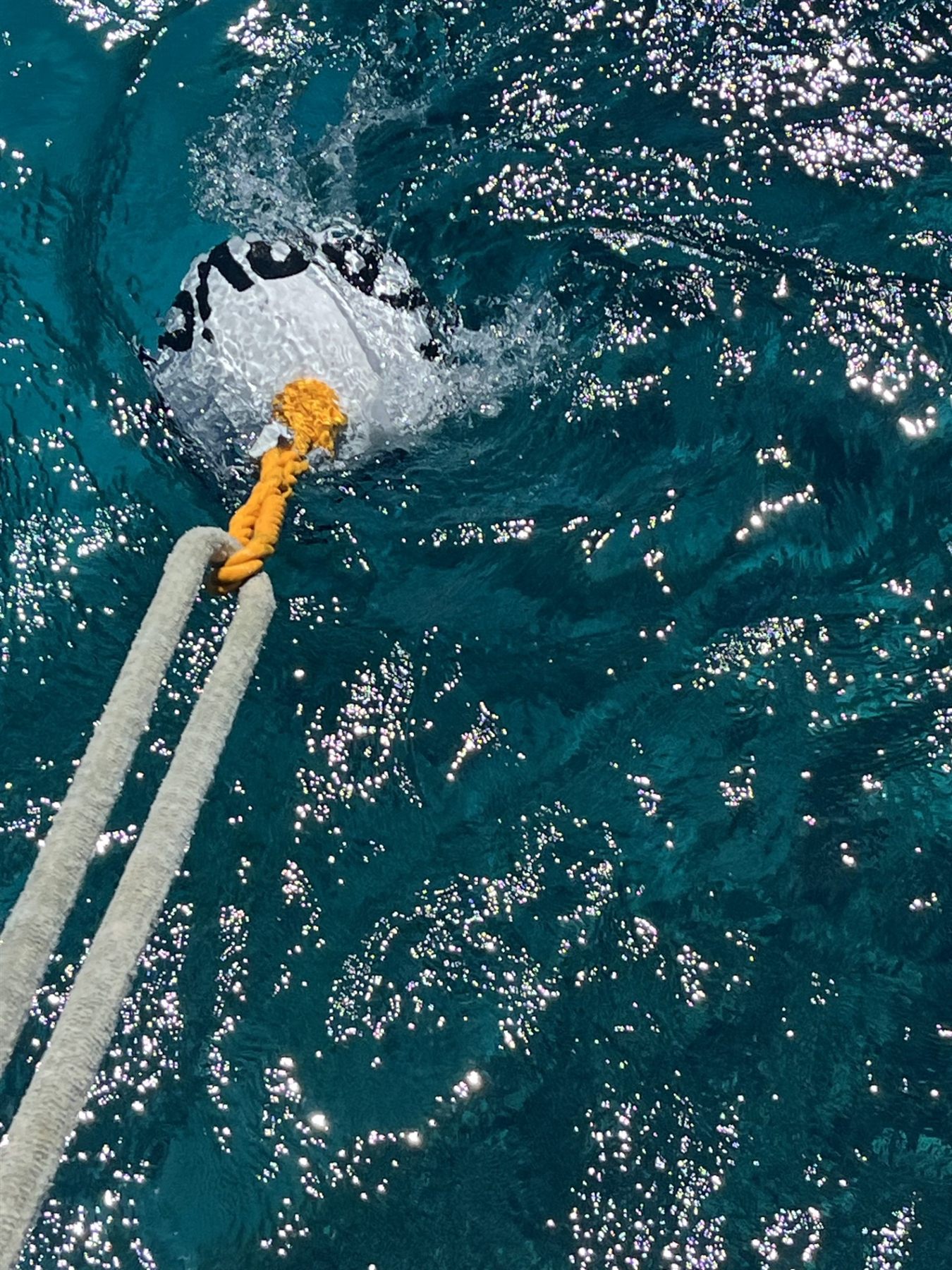 A white mooring buoy with Gypsy's Jewel hand painted on it, floating on turquoise water