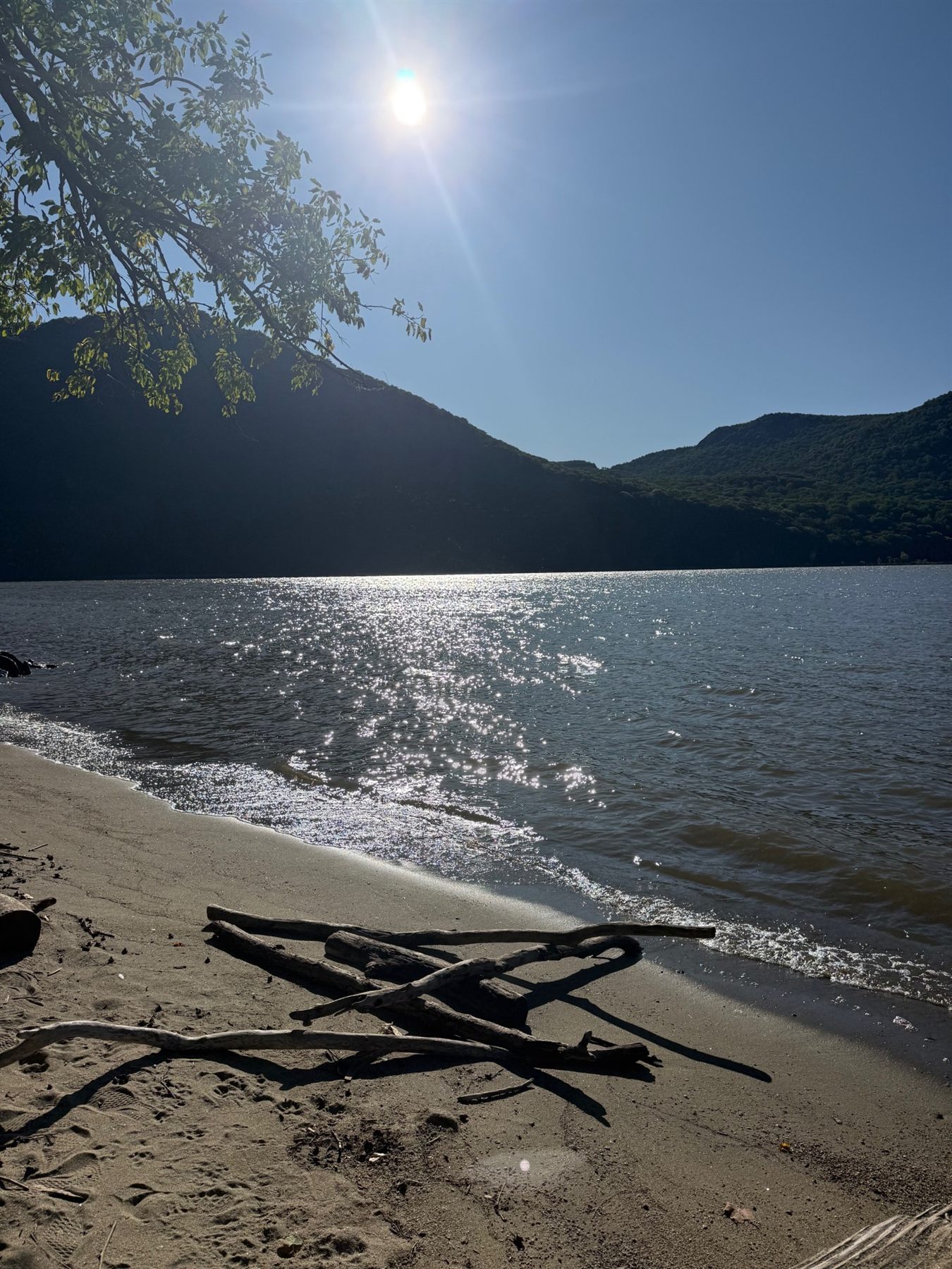 A sandy bend of the Hudson River with driftwood, the highlands across the water