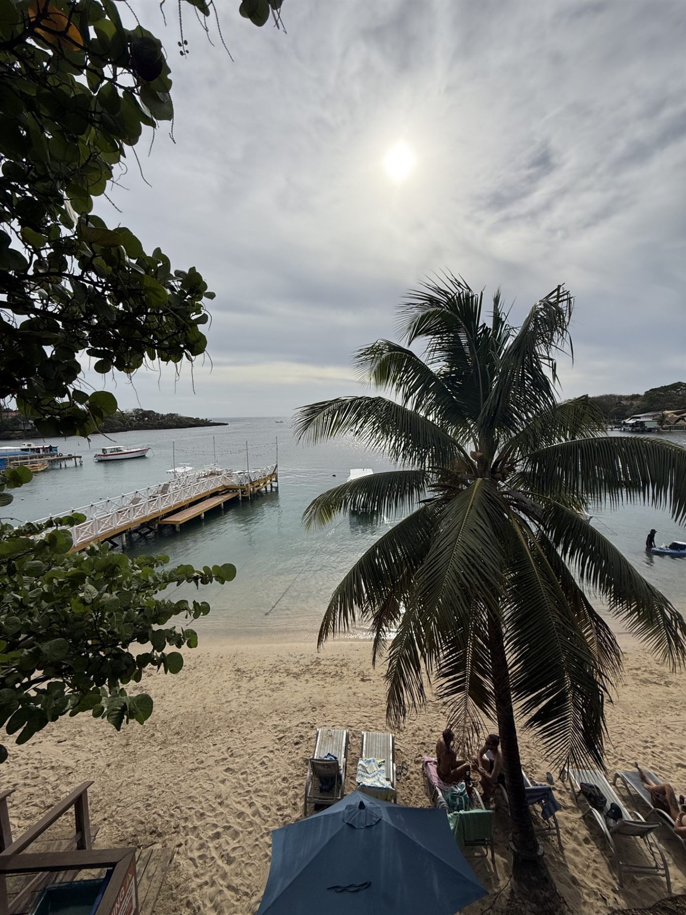 The beach out front on Roatan: a wooden dock, a leaning palm, loungers on the sand, and calm water
