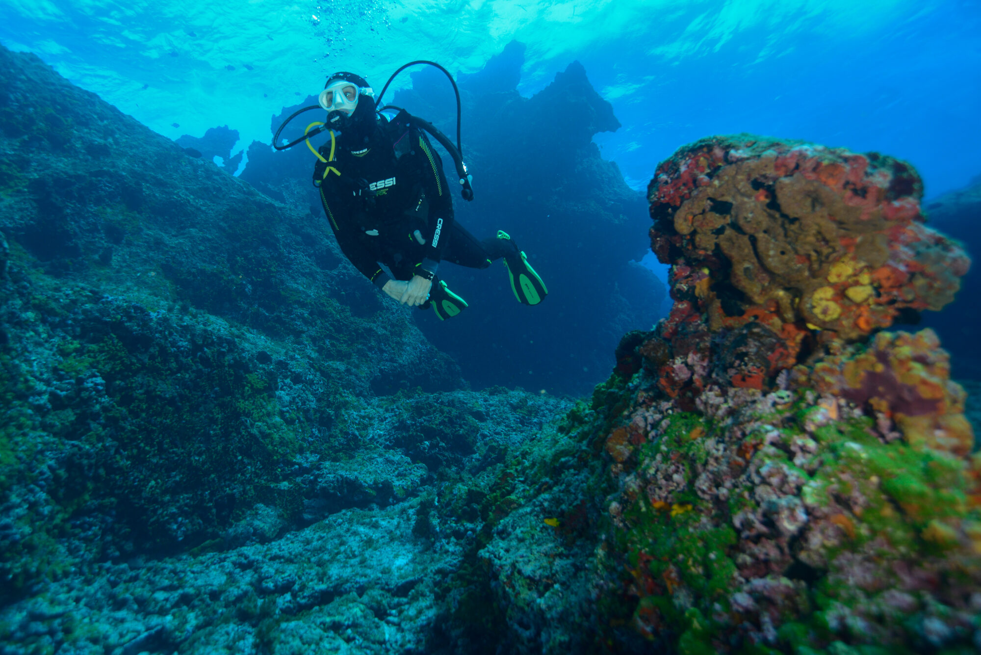 A scuba diver hovering over the coral wall on the Roatan reef, deep blue water above